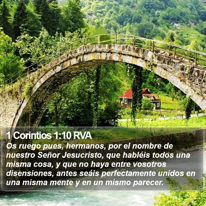 1 Corintios 1:10 RVA Bible Study