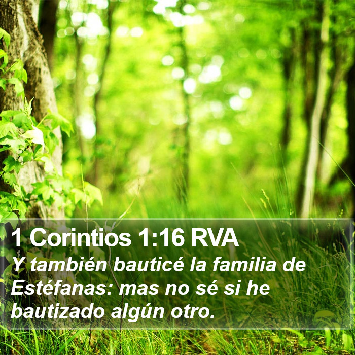 1 Corintios 1:16 RVA Bible Study