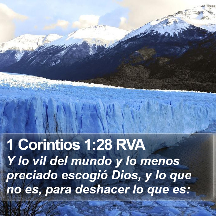 1 Corintios 1:28 RVA Bible Study