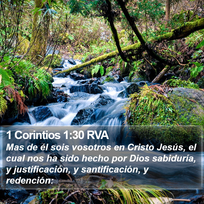 1 Corintios 1:30 RVA Bible Study