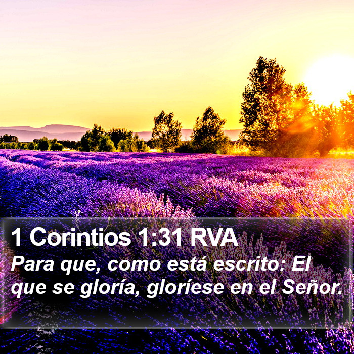 1 Corintios 1:31 RVA Bible Study