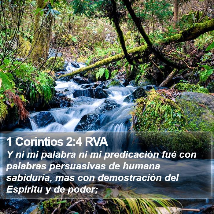 1 Corintios 2:4 RVA Bible Study