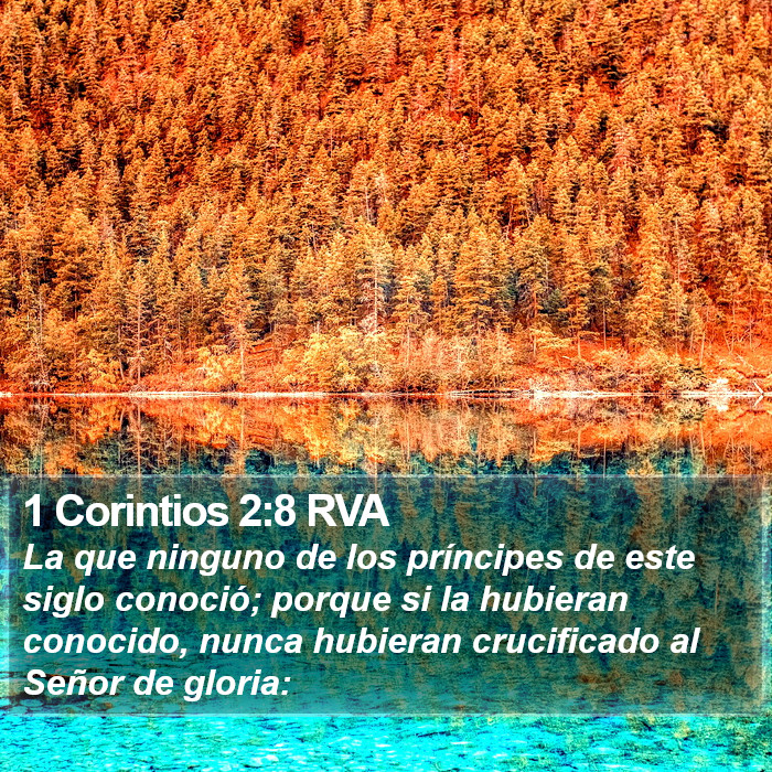 1 Corintios 2:8 RVA Bible Study