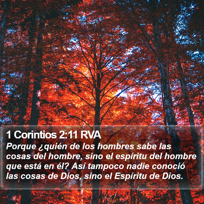 1 Corintios 2:11 RVA Bible Study