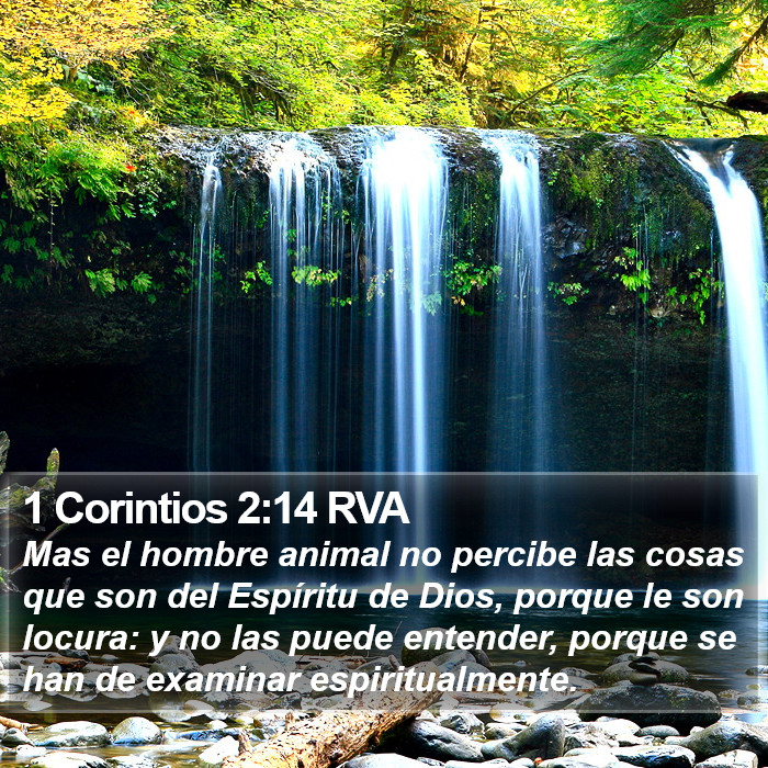 1 Corintios 2:14 RVA Bible Study