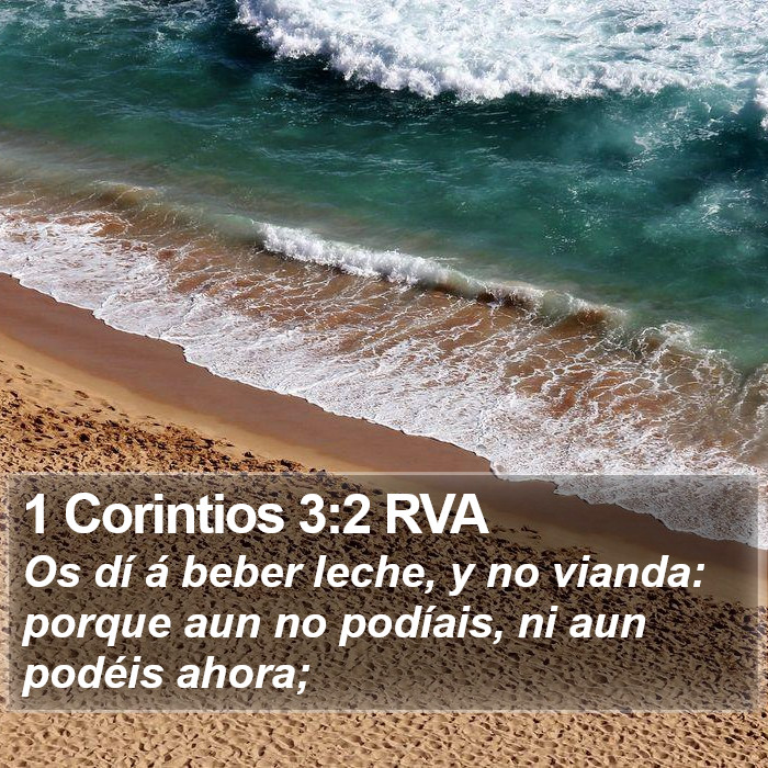 1 Corintios 3:2 RVA Bible Study