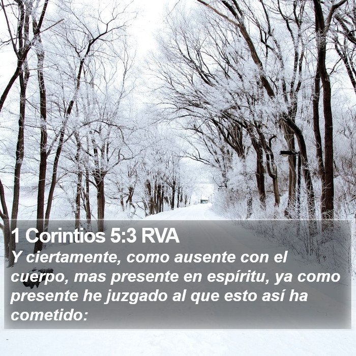 1 Corintios 5:3 RVA Bible Study