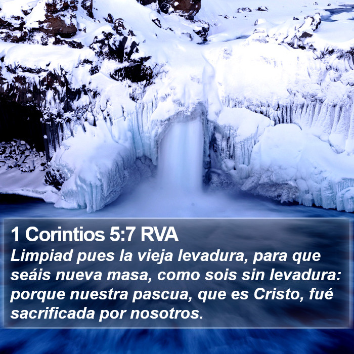 1 Corintios 5:7 RVA Bible Study