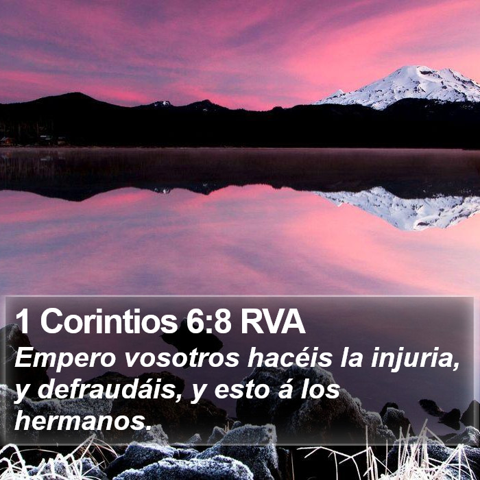 1 Corintios 6:8 RVA Bible Study