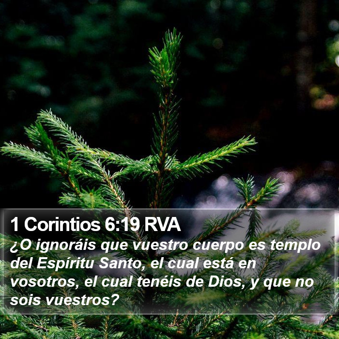 1 Corintios 6:19 RVA Bible Study