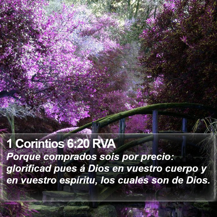 1 Corintios 6:20 RVA Bible Study