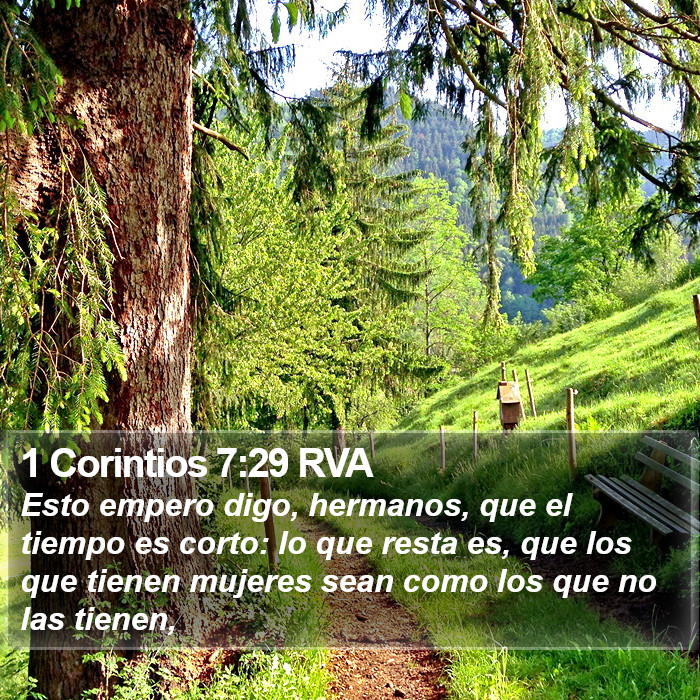 1 Corintios 7:29 RVA Bible Study