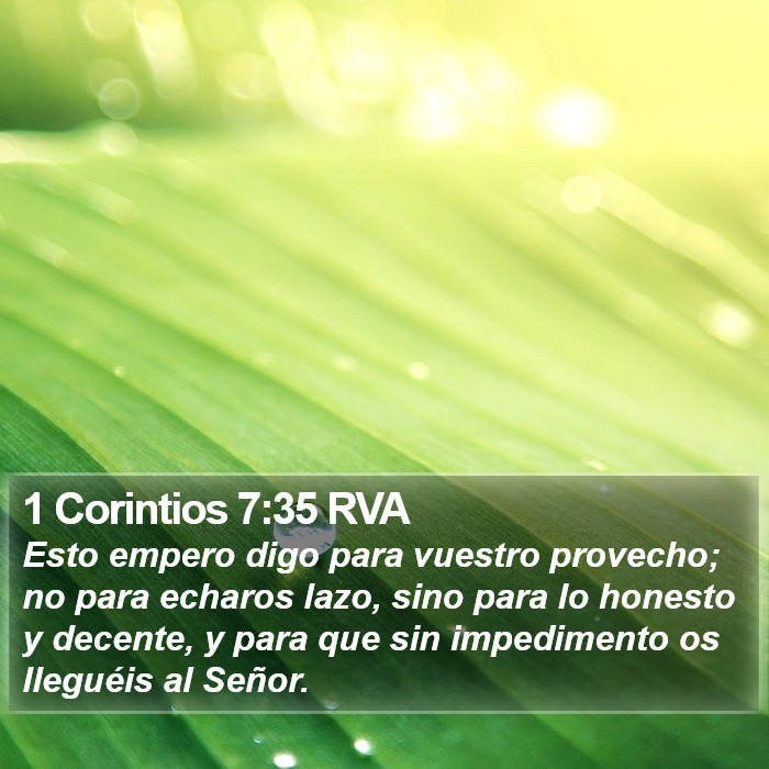 1 Corintios 7:35 RVA Bible Study