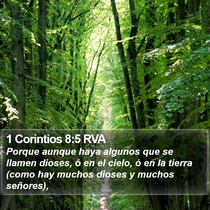 1 Corintios 8:5 RVA Bible Study