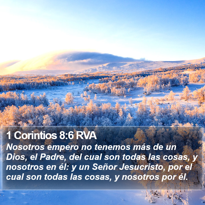 1 Corintios 8:6 RVA Bible Study