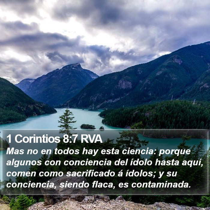 1 Corintios 8:7 RVA Bible Study