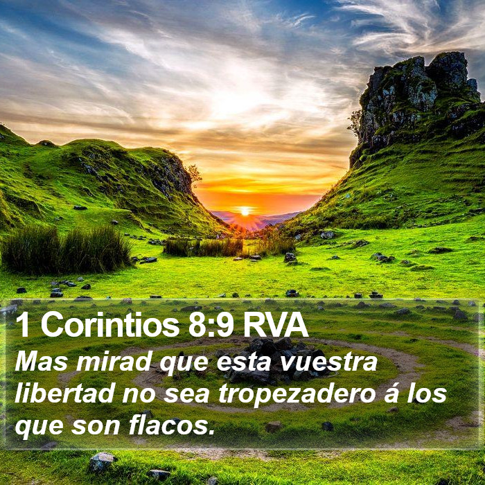 1 Corintios 8:9 RVA Bible Study