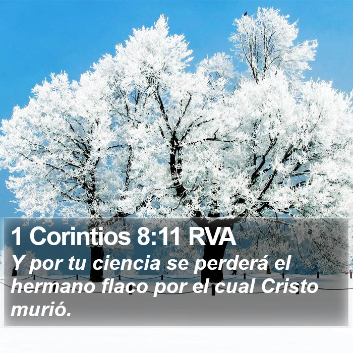 1 Corintios 8:11 RVA Bible Study