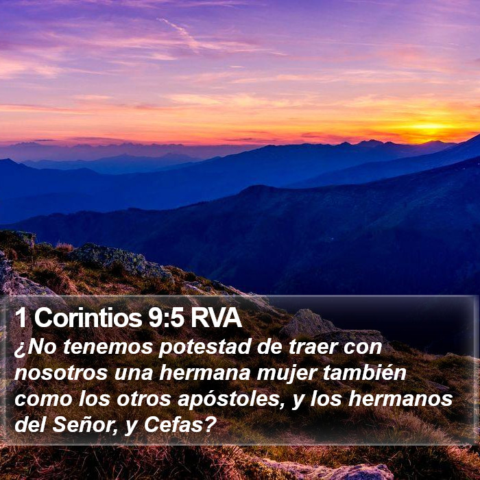 1 Corintios 9:5 RVA Bible Study