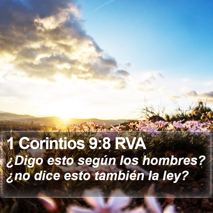 1 Corintios 9:8 RVA Bible Study