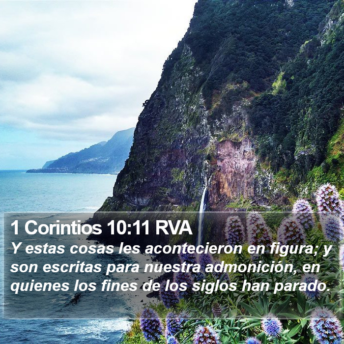 1 Corintios 10:11 RVA Bible Study