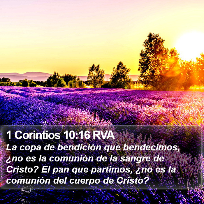 1 Corintios 10:16 RVA Bible Study