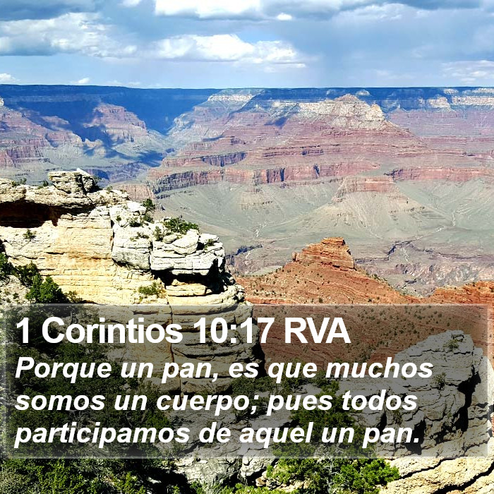 1 Corintios 10:17 RVA Bible Study