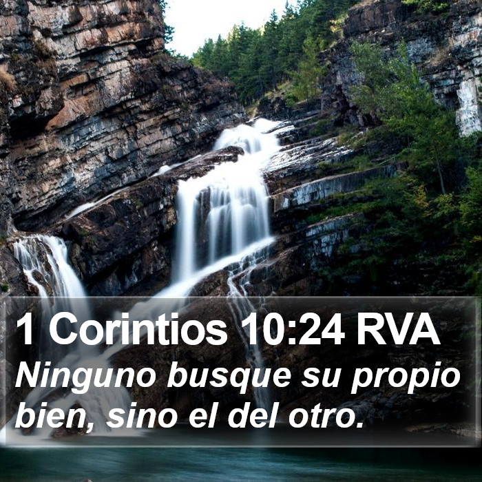 1 Corintios 10:24 RVA Bible Study