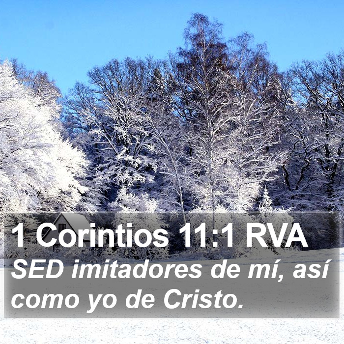 1 Corintios 11:1 RVA Bible Study