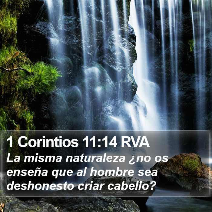 1 Corintios 11:14 RVA Bible Study