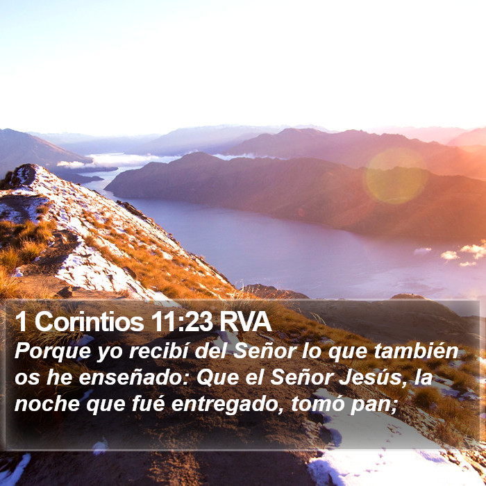 1 Corintios 11:23 RVA Bible Study