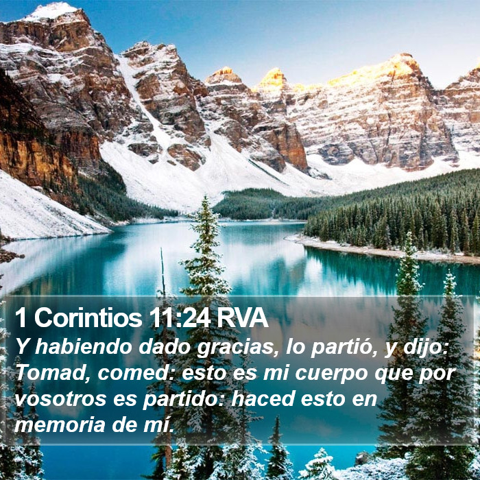 1 Corintios 11:24 RVA Bible Study