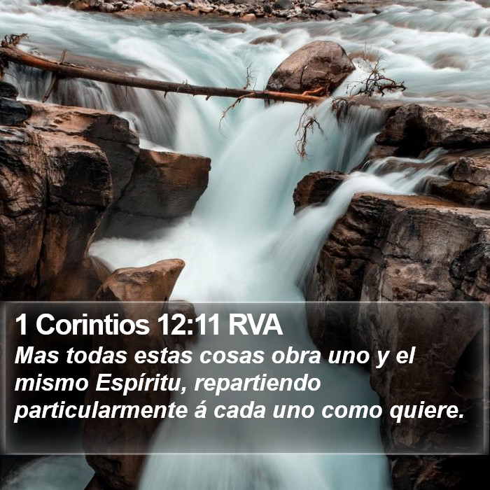 1 Corintios 12:11 RVA Bible Study