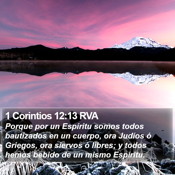 1 Corintios 12:13 RVA Bible Study