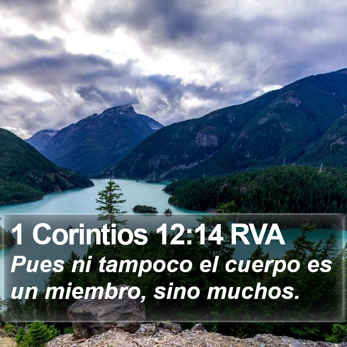 1 Corintios 12:14 RVA Bible Study