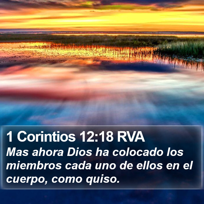 1 Corintios 12:18 RVA Bible Study