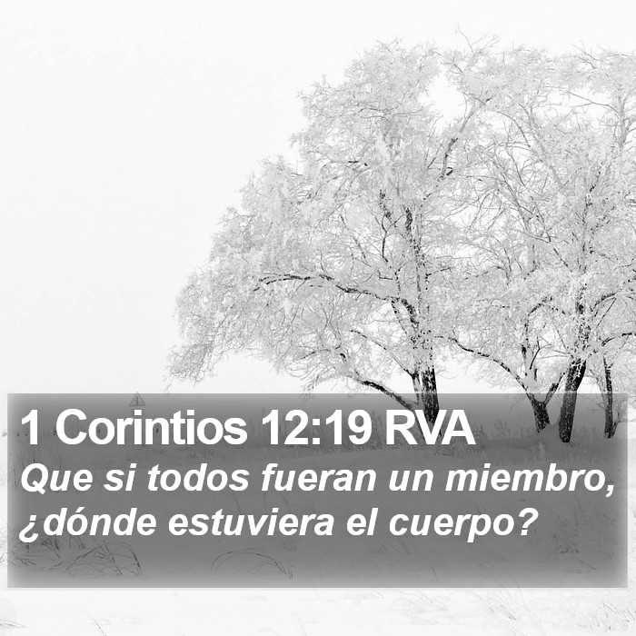 1 Corintios 12:19 RVA Bible Study