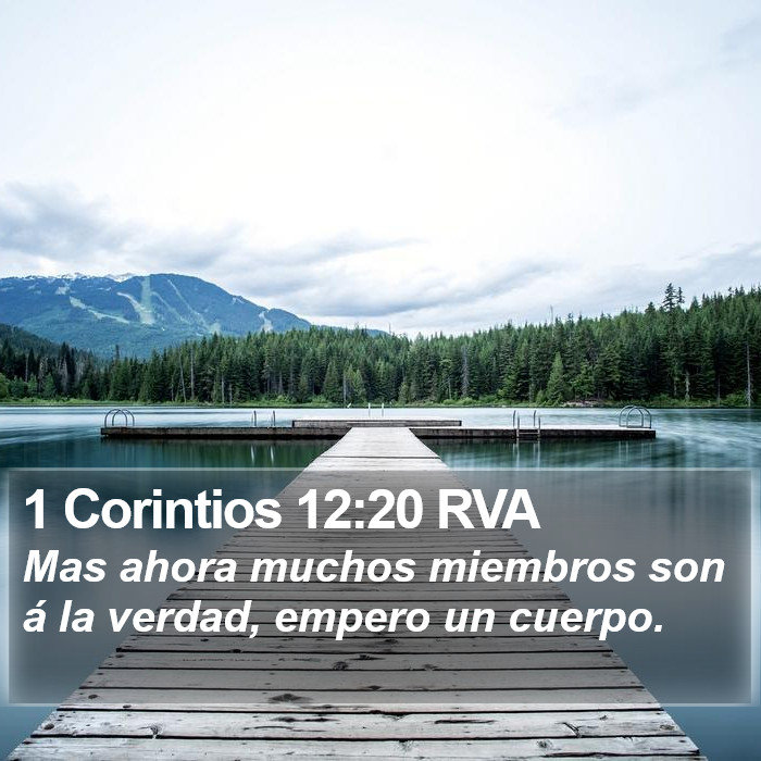 1 Corintios 12:20 RVA Bible Study