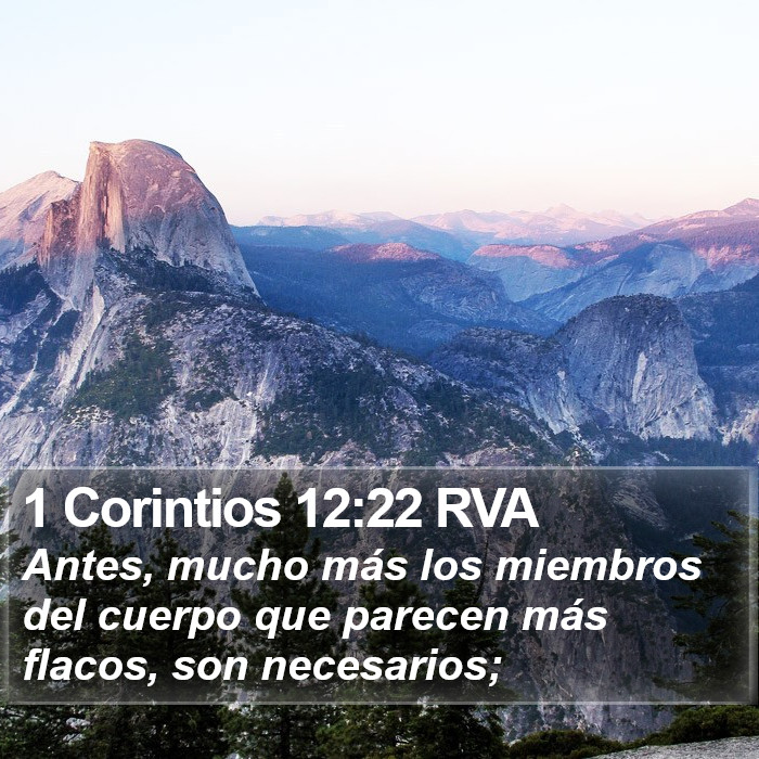 1 Corintios 12:22 RVA Bible Study