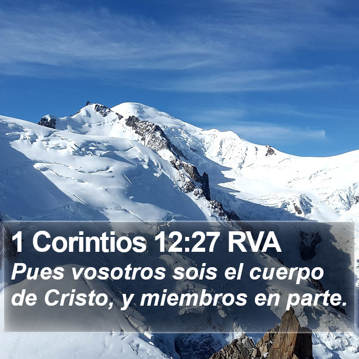 1 Corintios 12:27 RVA Bible Study