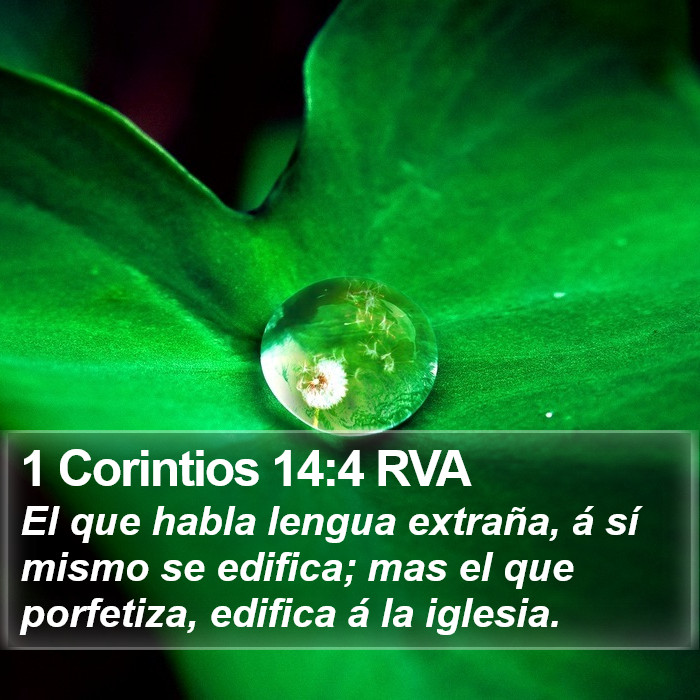 1 Corintios 14:4 RVA Bible Study