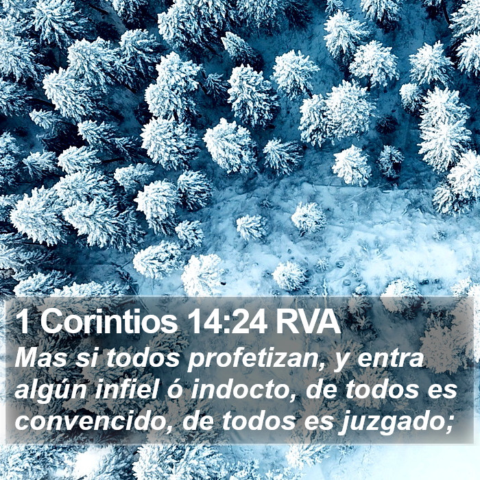 1 Corintios 14:24 RVA Bible Study