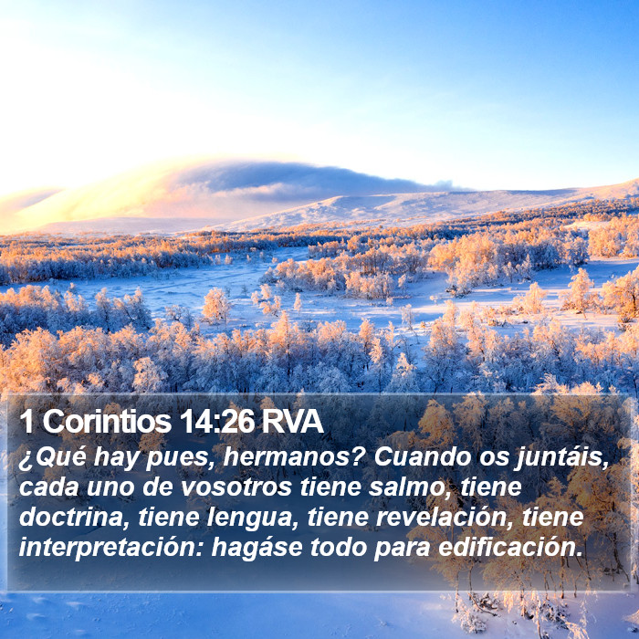 1 Corintios 14:26 RVA Bible Study