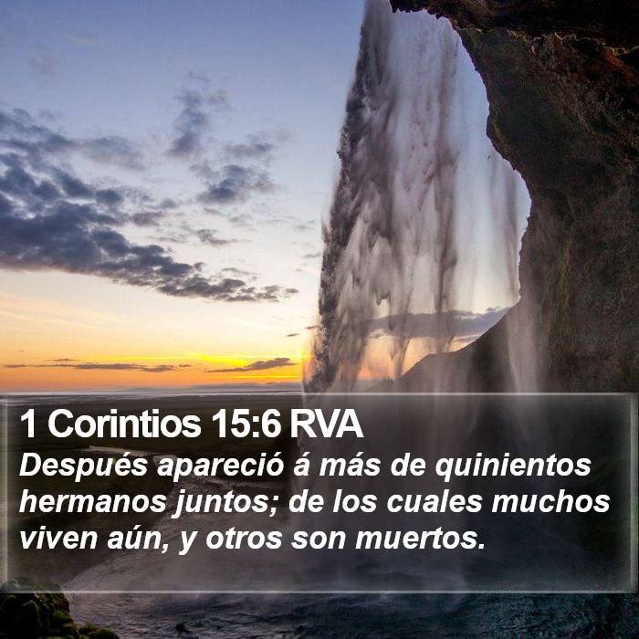 1 Corintios 15:6 RVA Bible Study