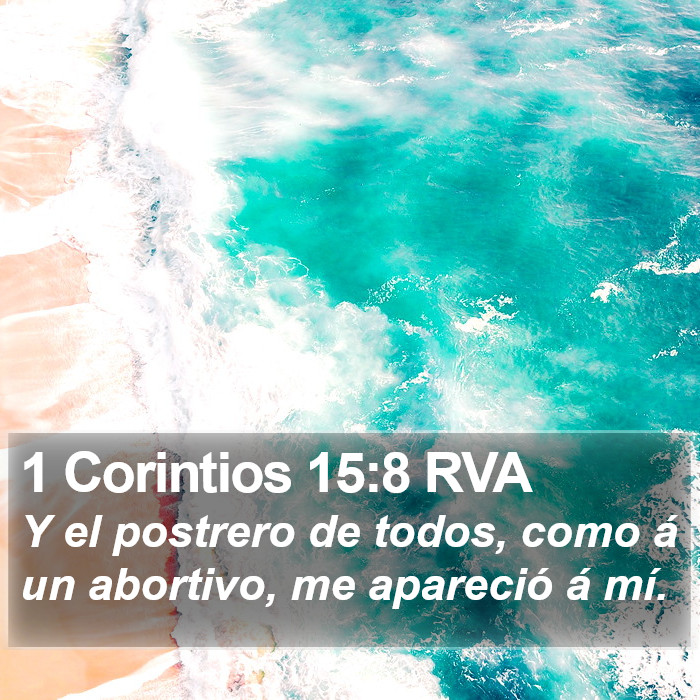 1 Corintios 15:8 RVA Bible Study