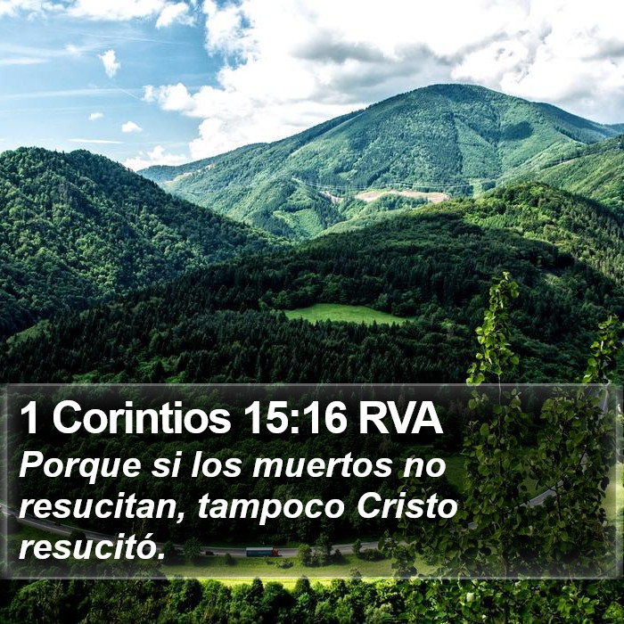 1 Corintios 15:16 RVA Bible Study