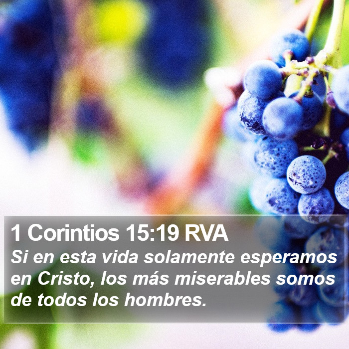 1 Corintios 15:19 RVA Bible Study