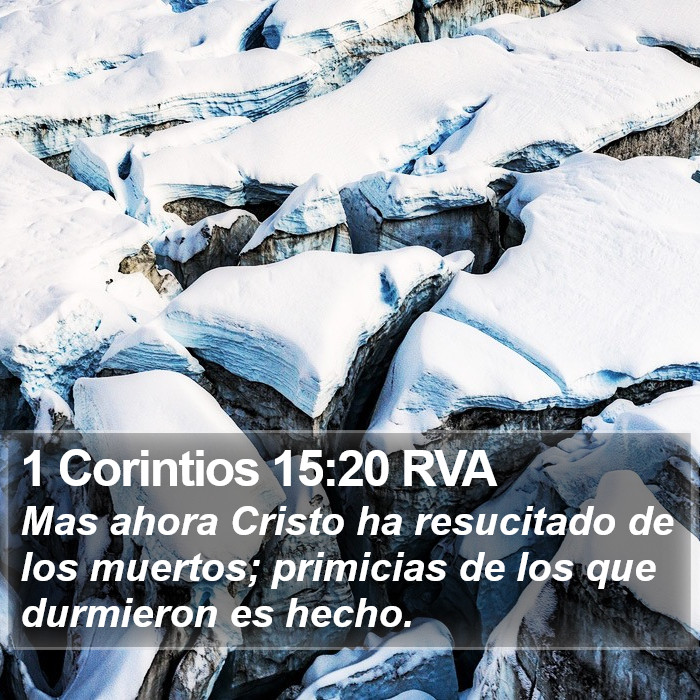 1 Corintios 15:20 RVA Bible Study