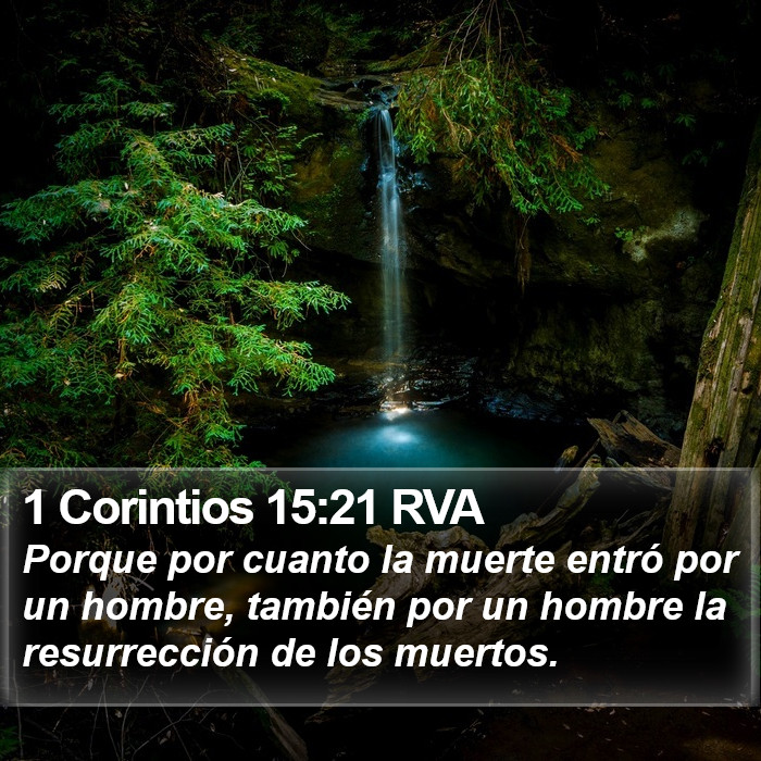 1 Corintios 15:21 RVA Bible Study