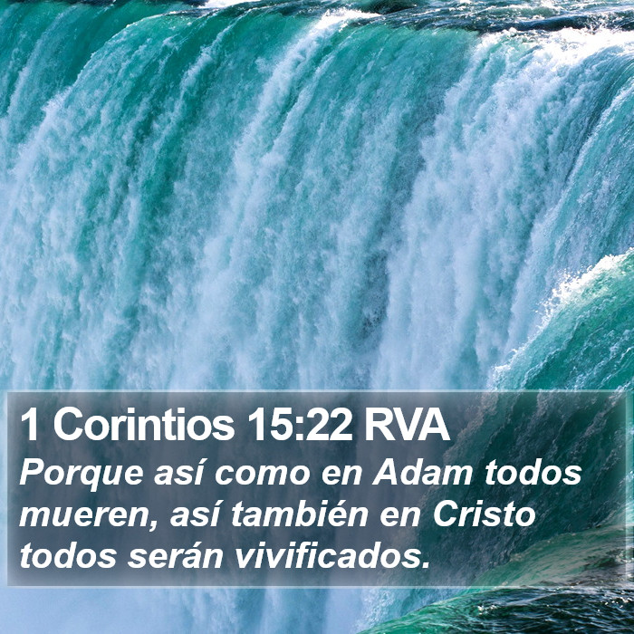 1 Corintios 15:22 RVA Bible Study